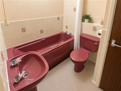 Picture 8